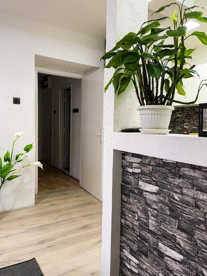 Apartment Tatjana Kragujevac Exterior photo